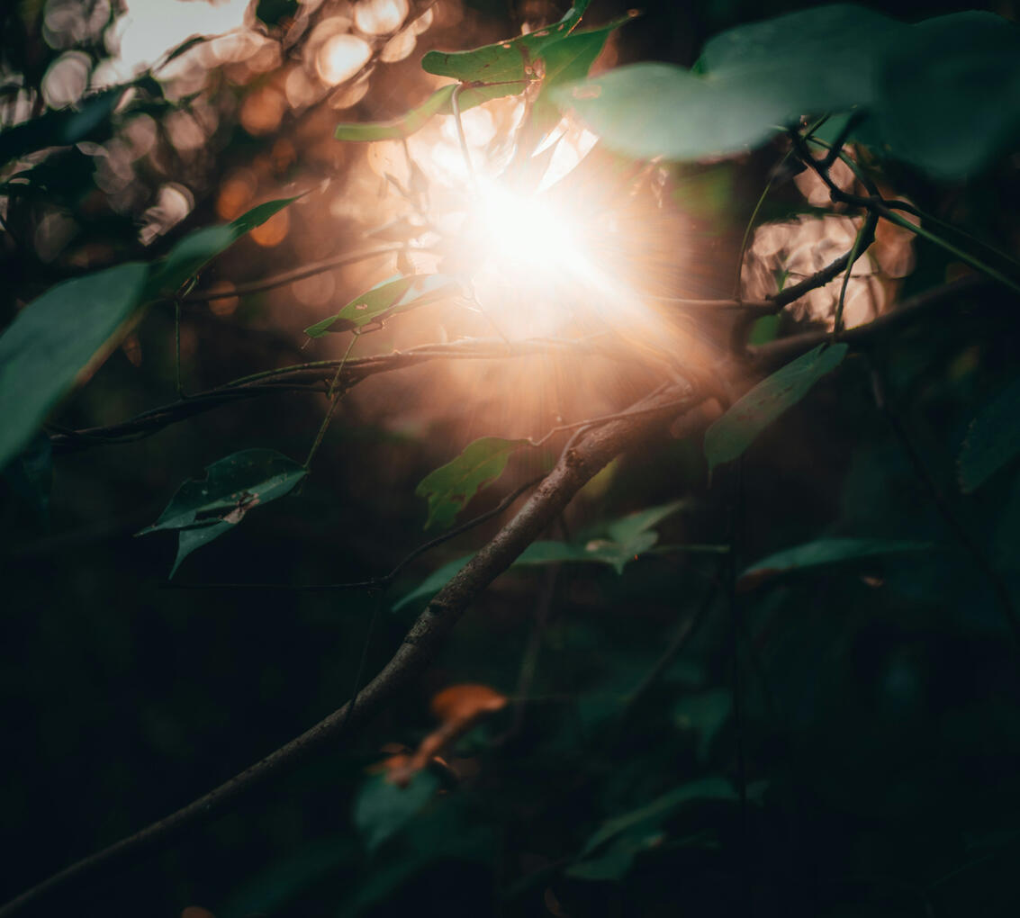 breakthrough coaching